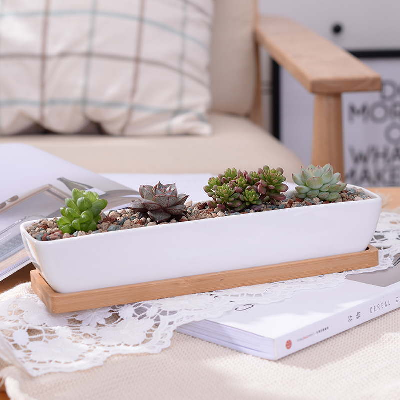 Desktop Organizer Bamboo - Длинный прямоугольный белый керамический горшок для